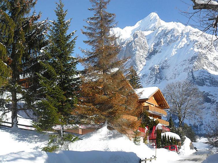 Firstsunne Apartment Grindelwald Luaran gambar