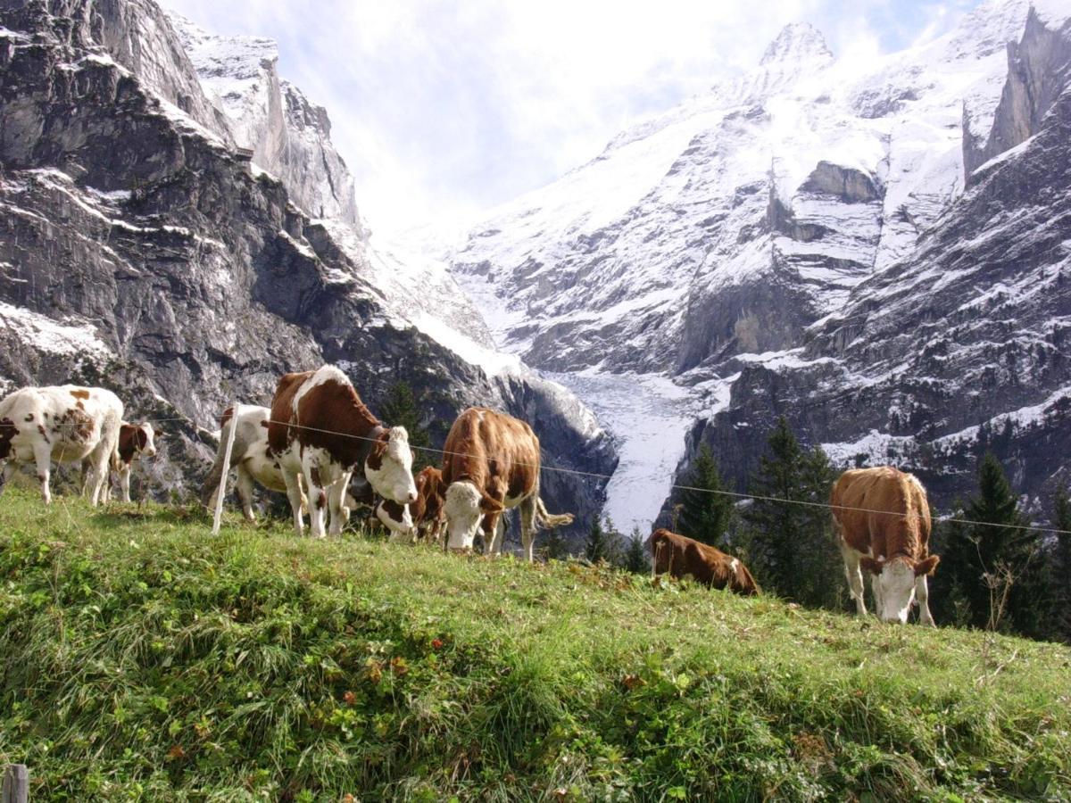 Firstsunne Apartment Grindelwald Luaran gambar